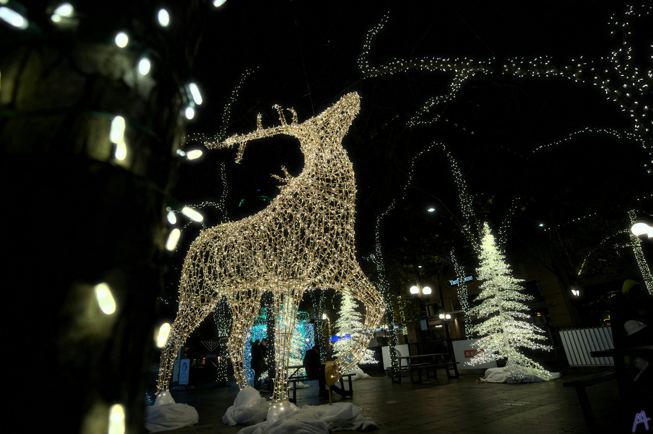 Light up reindeer surrounded by Christmas lights