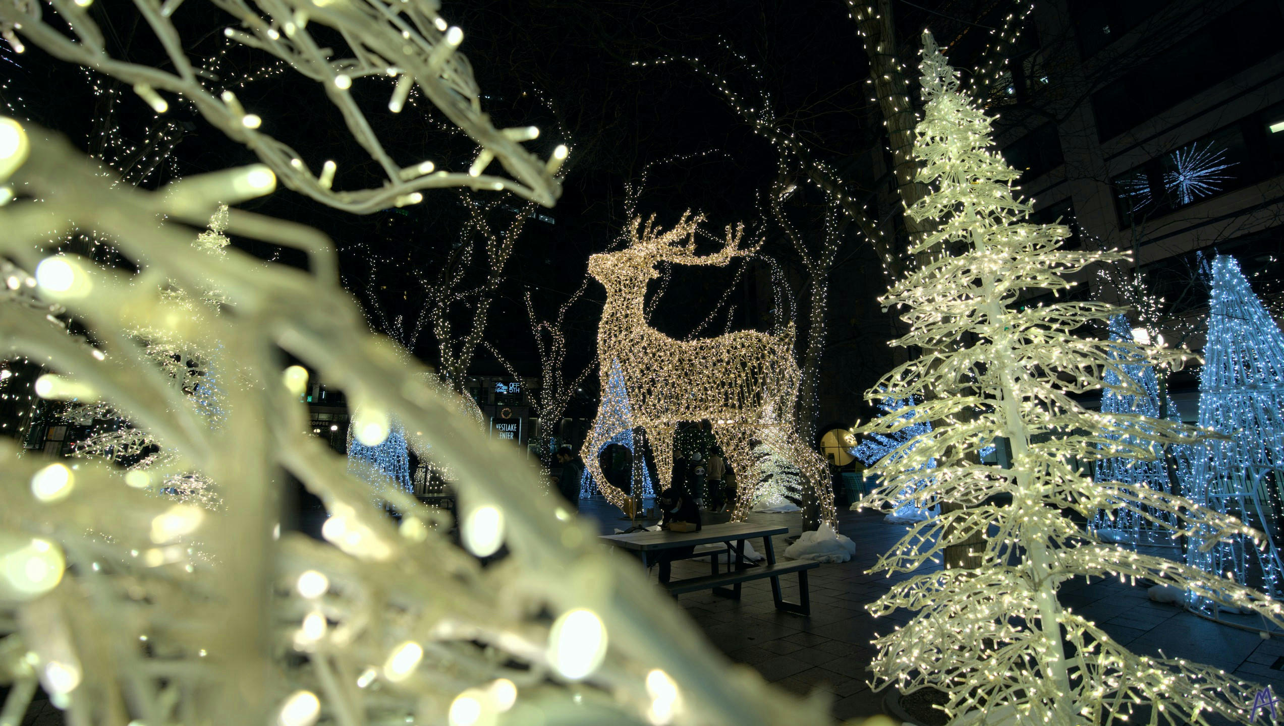 Light up reindeer through Christmas light trees