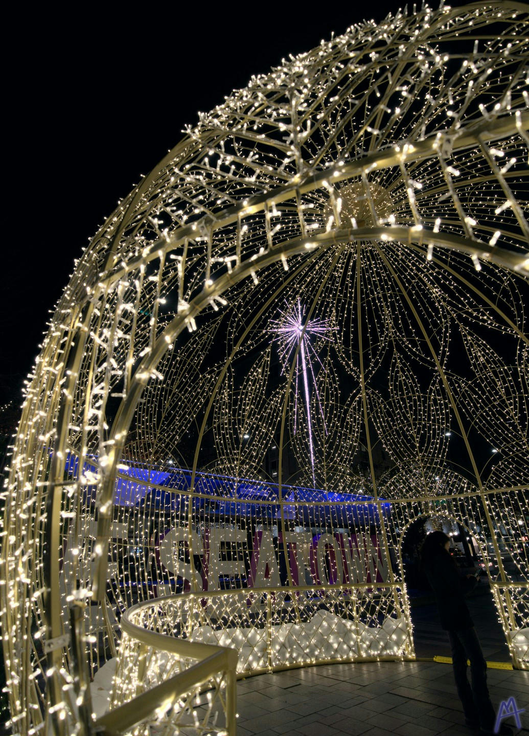 Globe of yellow Christmas lights with a purple North star