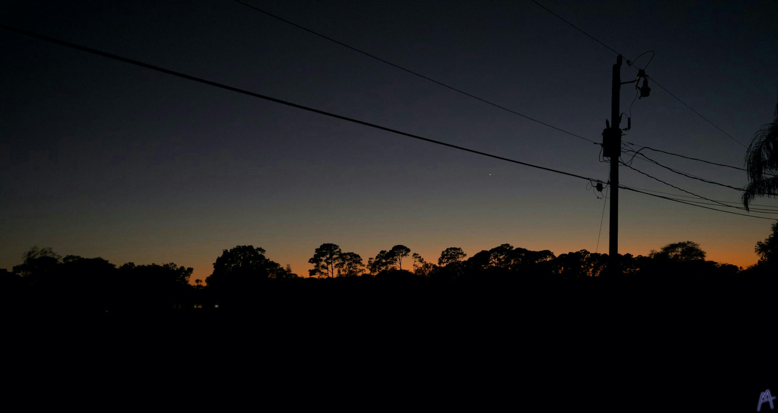 Sunset against a tree and power line