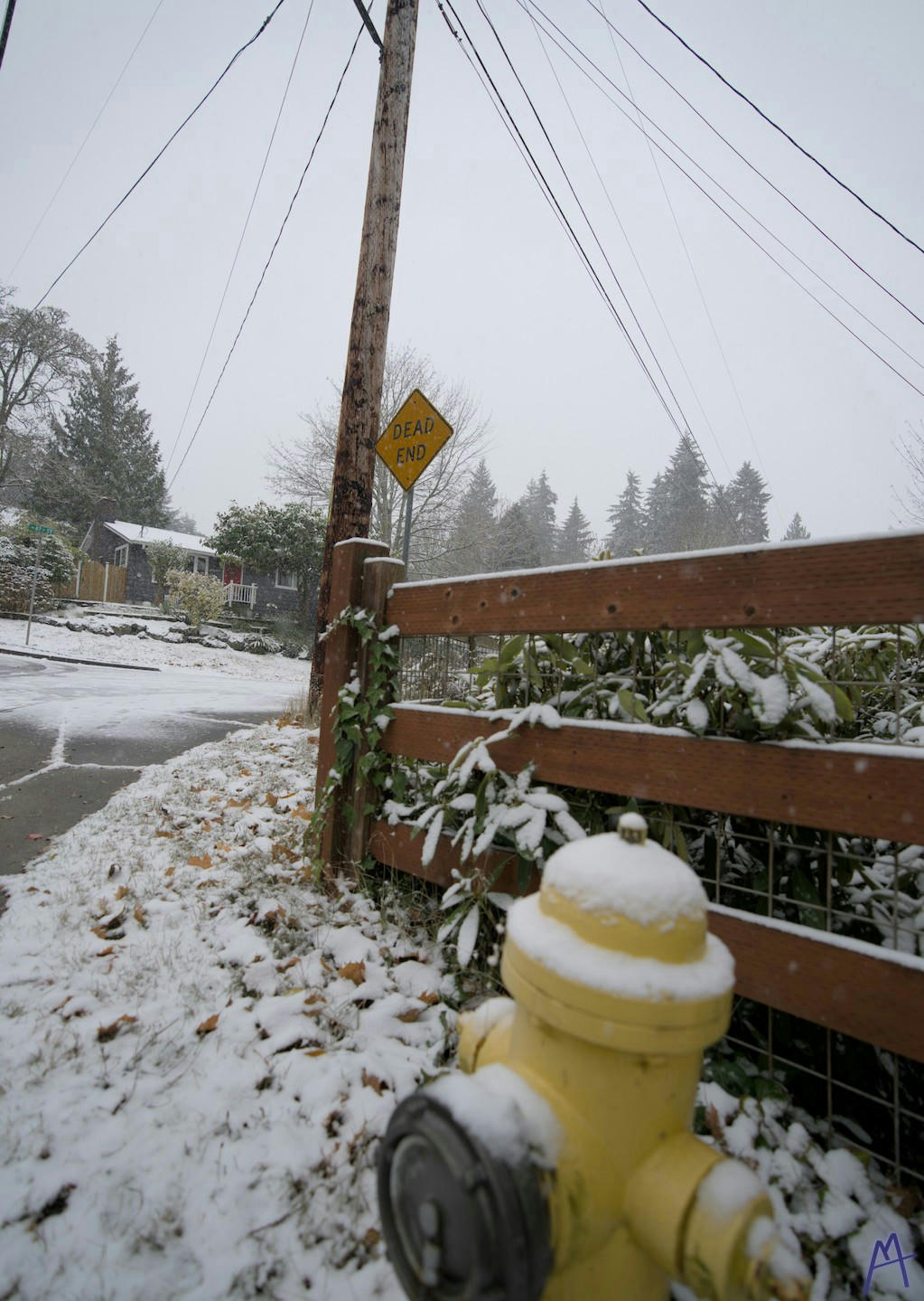 A dead end sign in the snow near a yellow fire hydrant