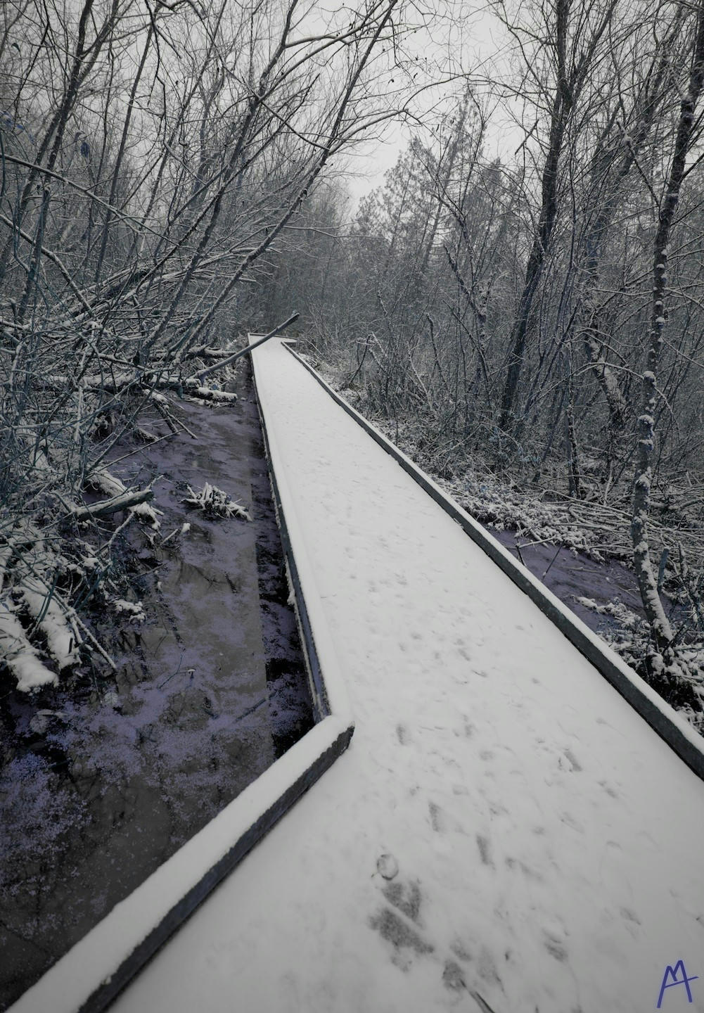 Arty snow covered board walk in a wetland