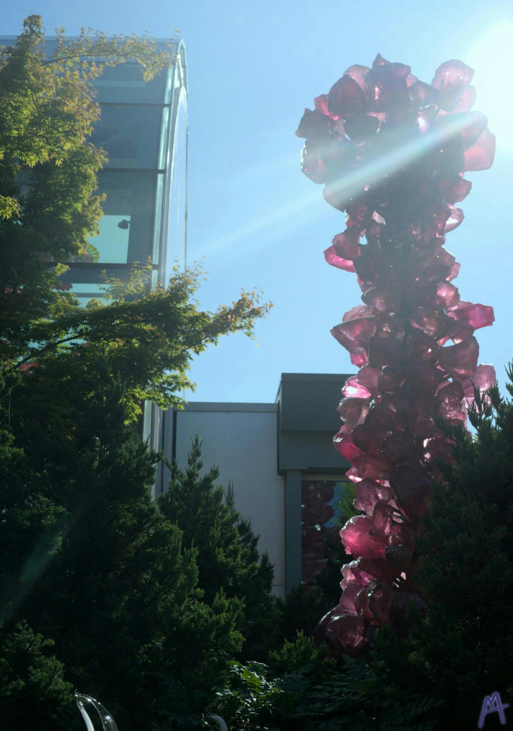 Sun behind a pink glass tower