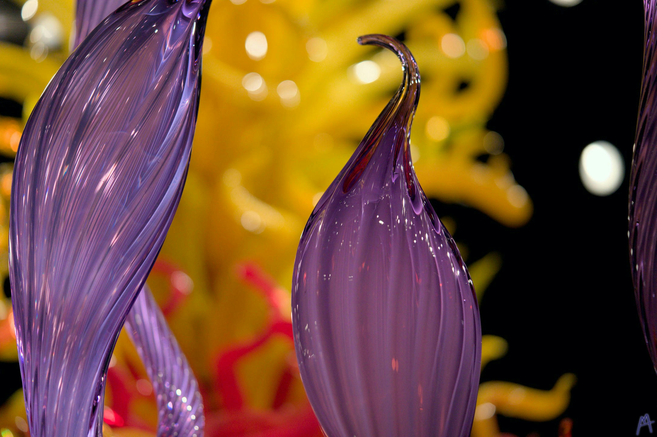 Purple glass plant in front of yellow tower