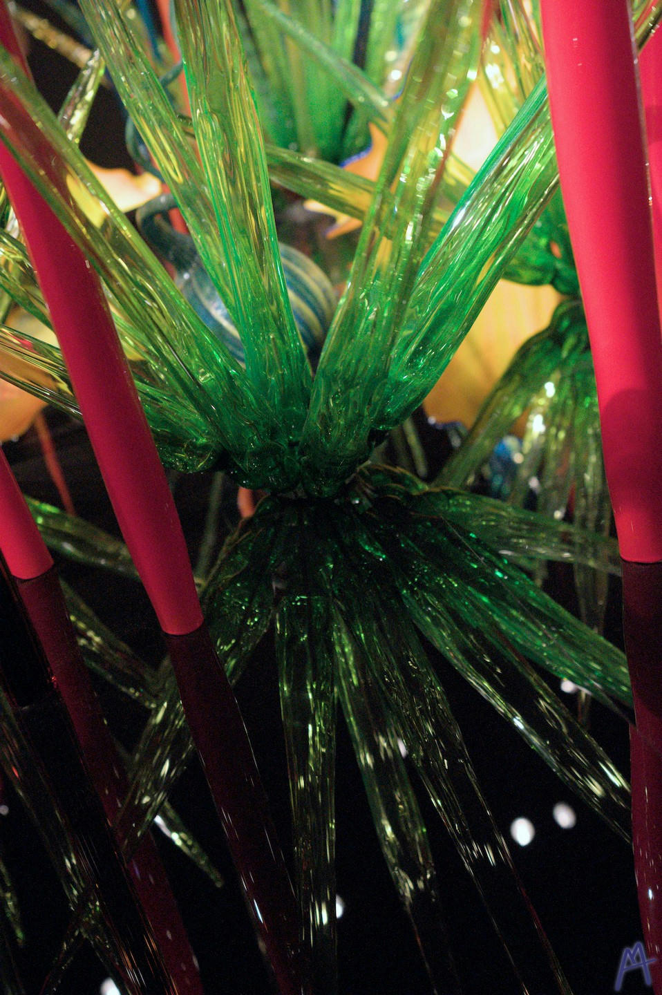 Green glass plant in glass garden