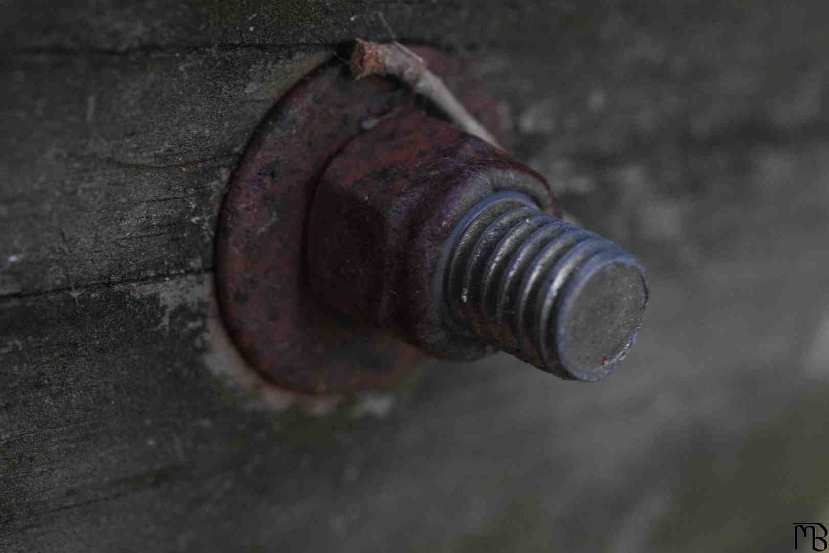 Rusted Nut and Bolt