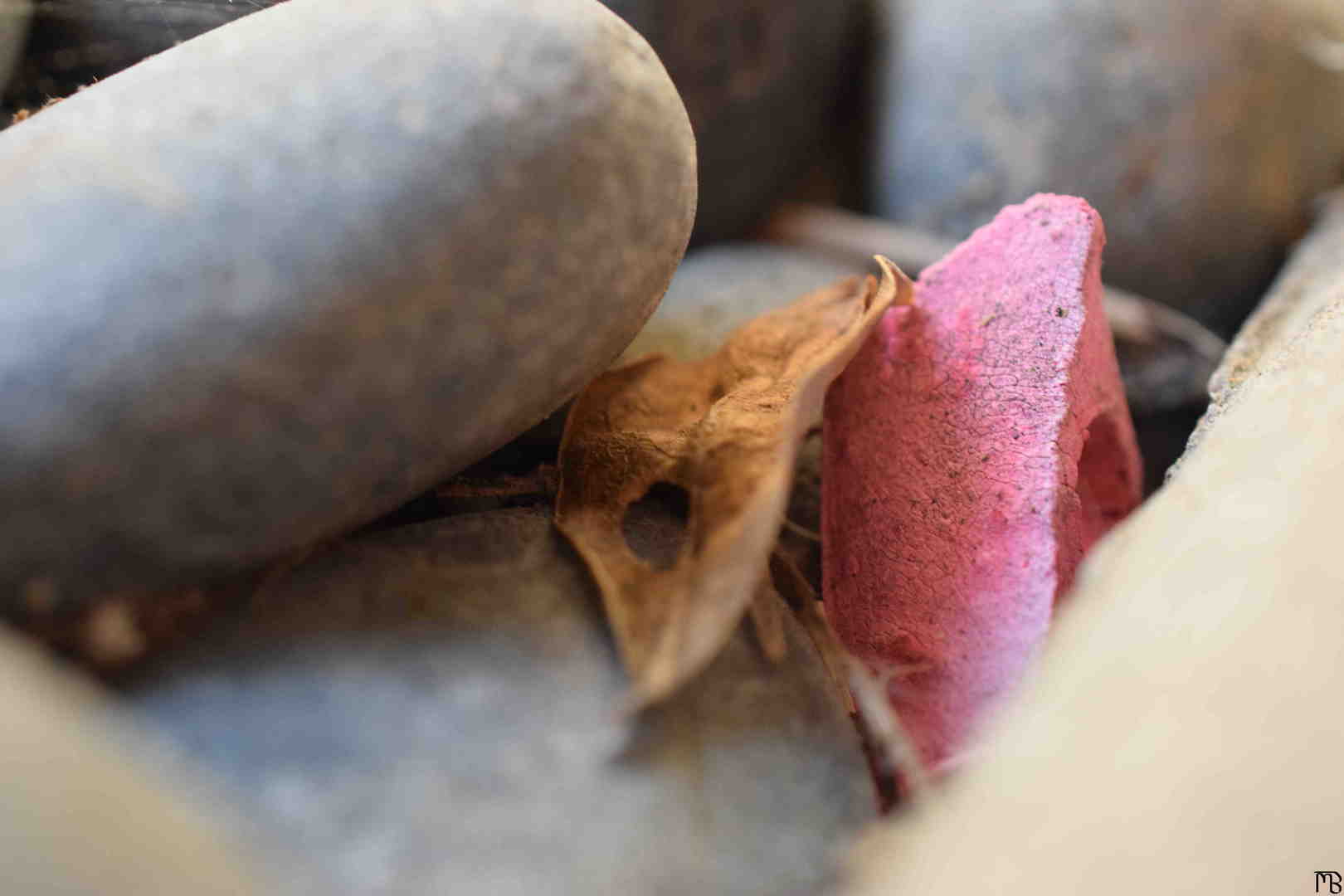 Small Stone, Leaf, and Pink Brick