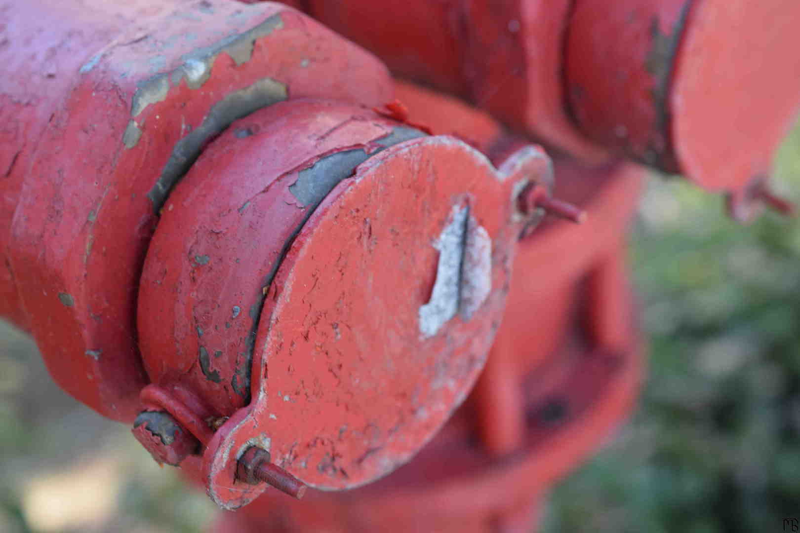 Red water pump