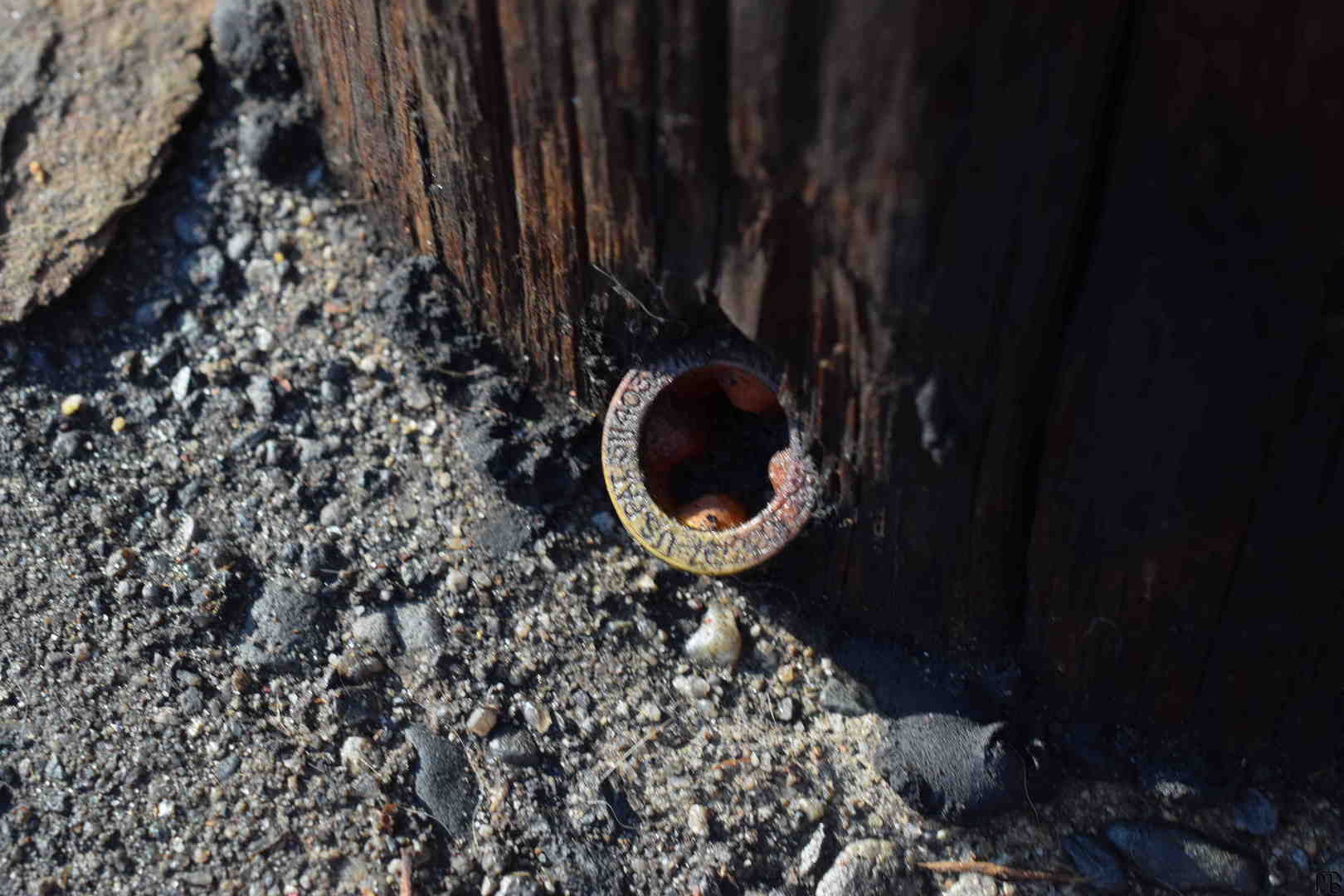 Screw in pole