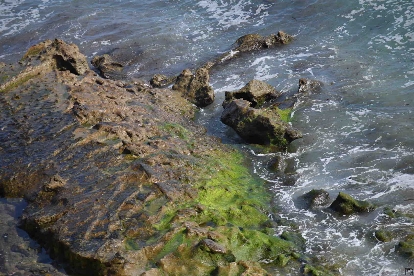 Rocks in ocean