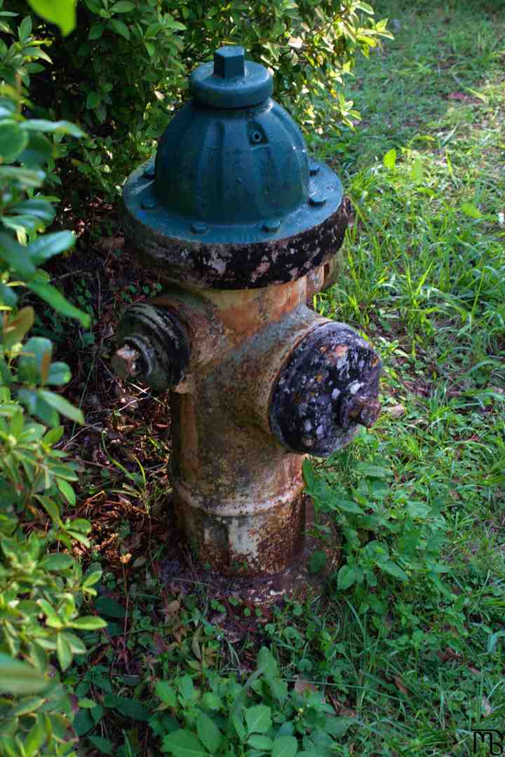 Rusty fire hydrant