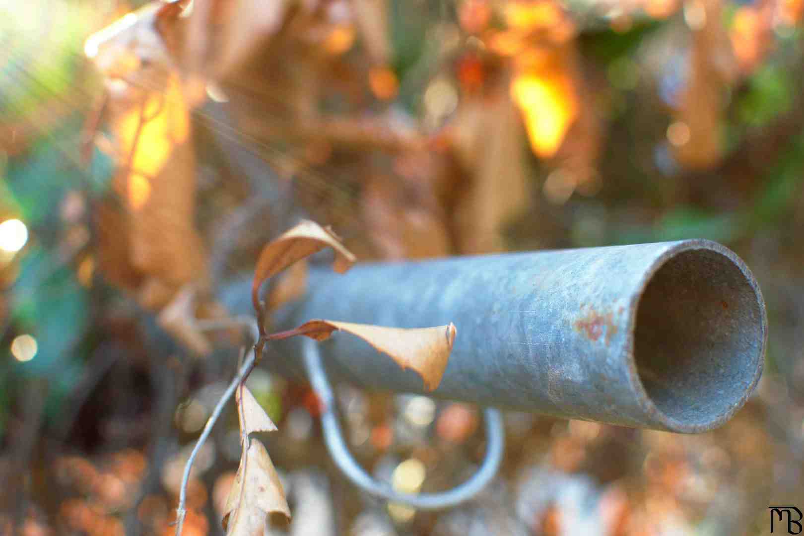 Pipe in sunlight