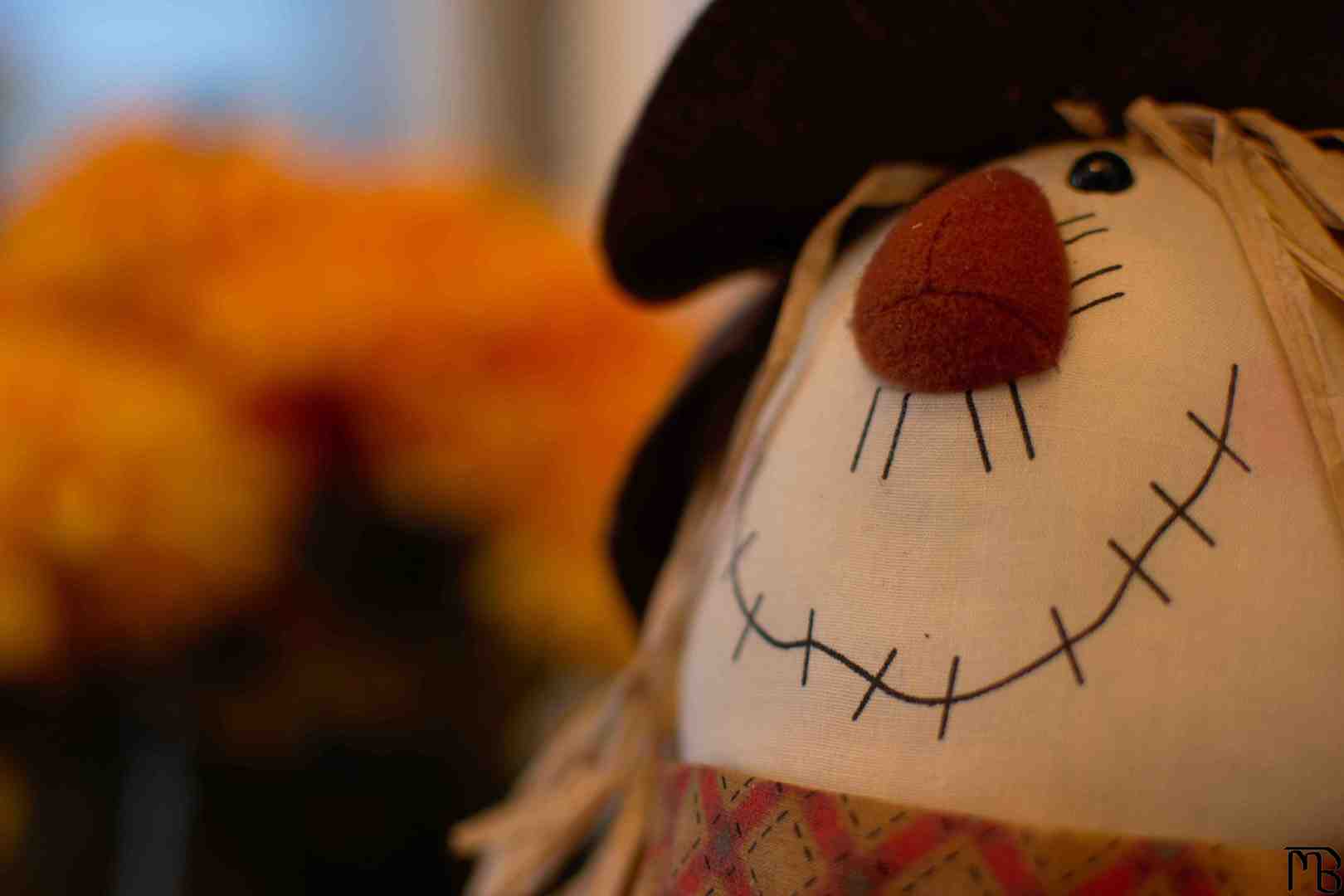 Stuffed scarecrow