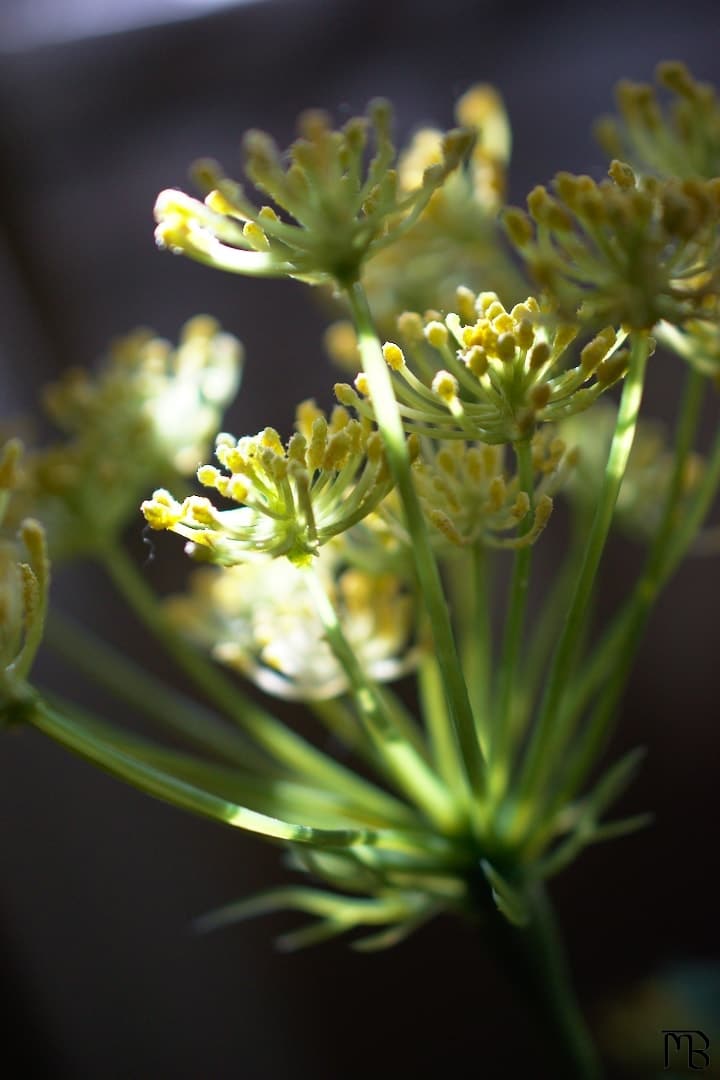 Fake yellow plant in light