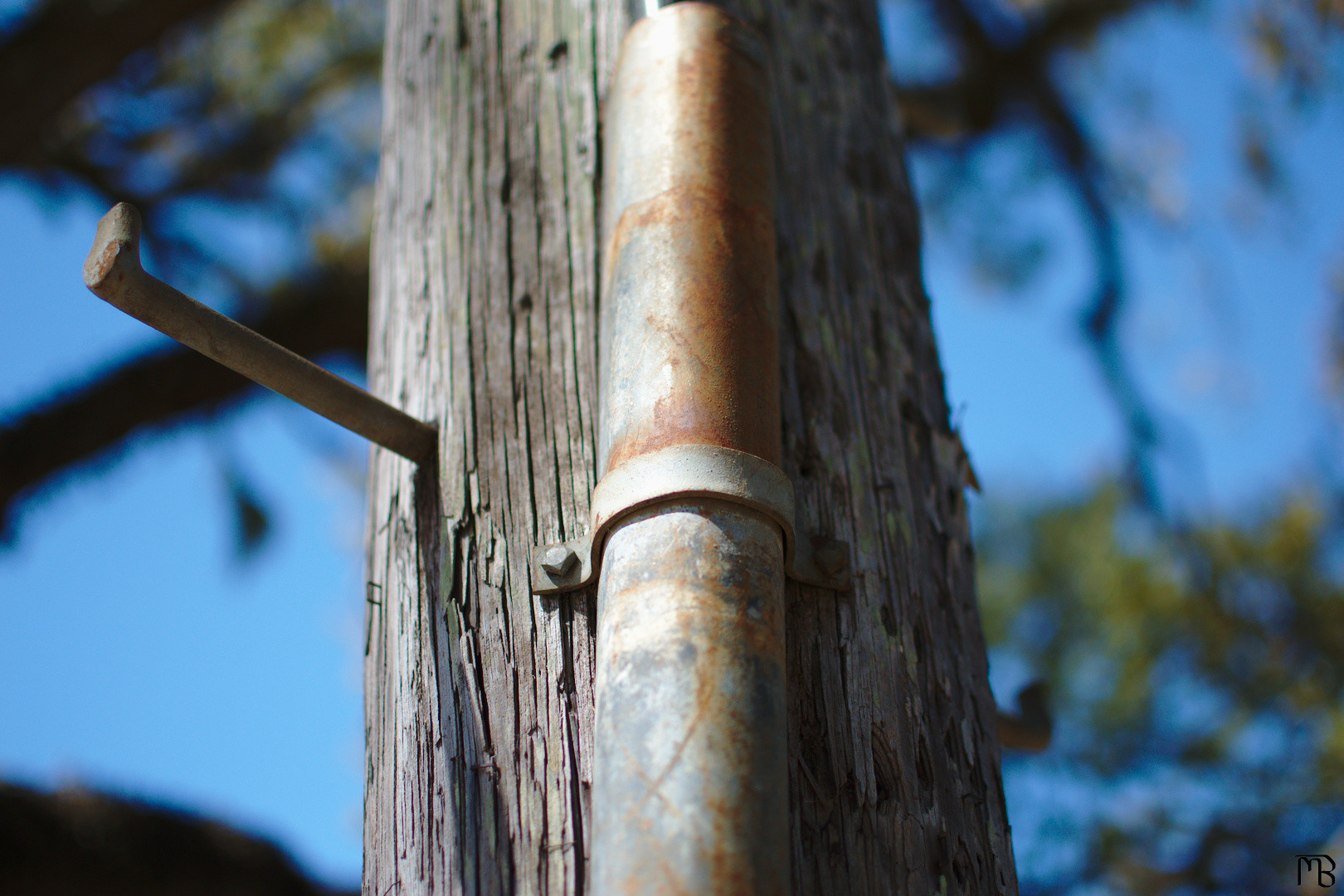 Rusty pipe on telephone pole