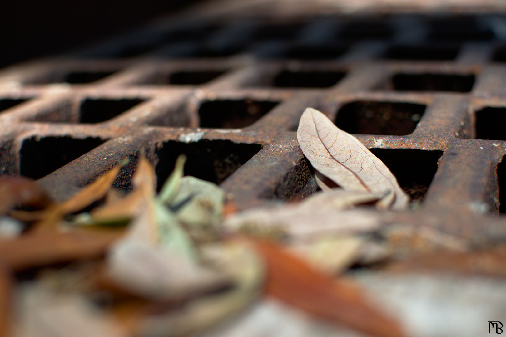 Leaf on grate